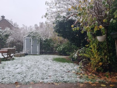 MAISON A VENDRE - VILLENEUVE D ASCQ - 98 m2 - 378 000 €